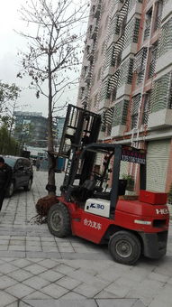 一站式解决您的工业需求 观澜专业叉车吊车出租与新田叉车出租服务全解析